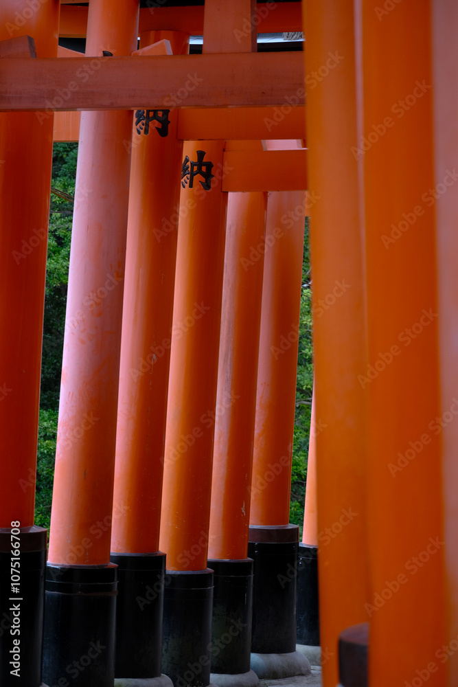 Senbon Torii in Fushimi Inari Taisha Senbon Torii in Fushimi Inari Taisha