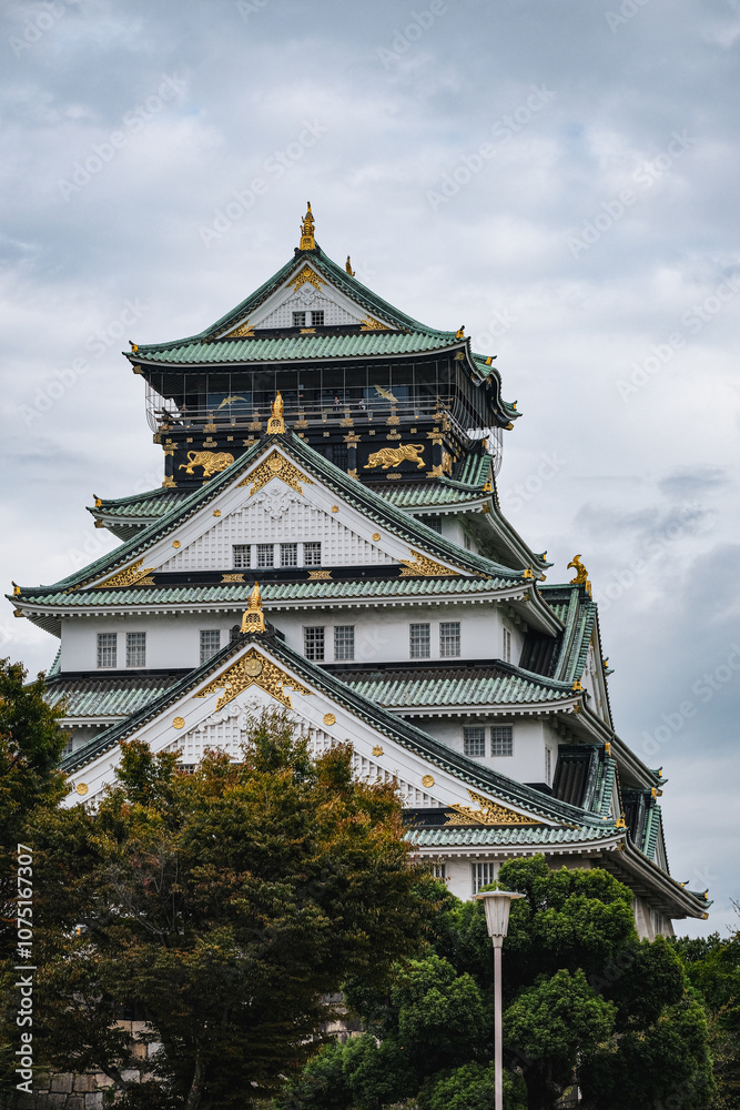 Fototapeta premium osaka castle