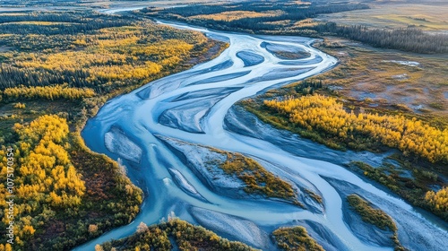 Aerial View of Braided River Channels in Autumn: Intricate Water Patterns and Forested Banks Captured in Morning Light. Abstract Natural Geometry in National Geographic Style.