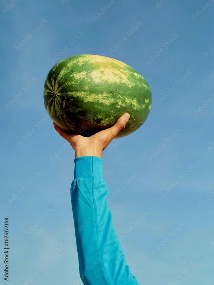 Hand holding a watermelon against a clear blue sky, Morocco Hand holding a watermelon against a clear blue sky, Morocco