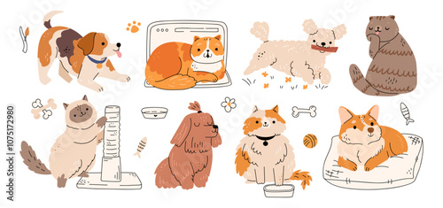 Dogs and cats, people friends and companions. Vector in flat style, isolated set of cute feline and canine animals with furry coat and funny muzzles. Lovely characters resting and being active