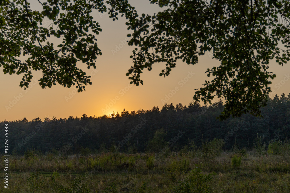 Summer sunset in the countryside Summer sunset in the countryside