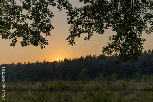 Summer sunset in the countryside