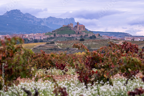 A mountainous backdrop dramatically accentuates expansive vineyard fields, merging natural splendor with agricultural richness, creating a scenic masterpiece n San Vicente Sonsierra, La Rioja, Spain photo