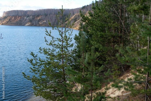 lake in the forest