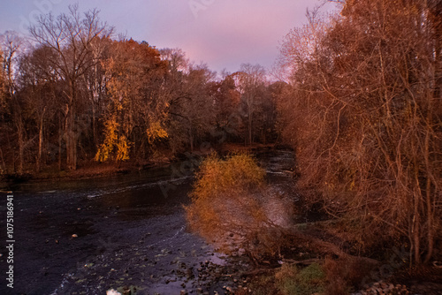 autumn in the forest