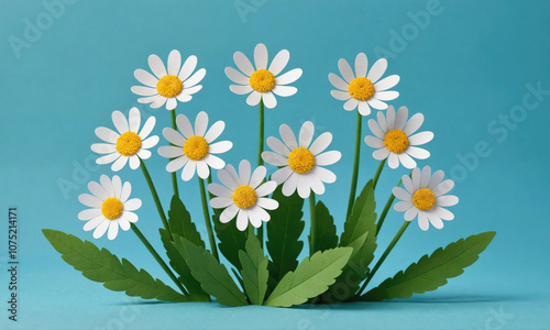 Paper daisies with yellow centers bloom against a blue background