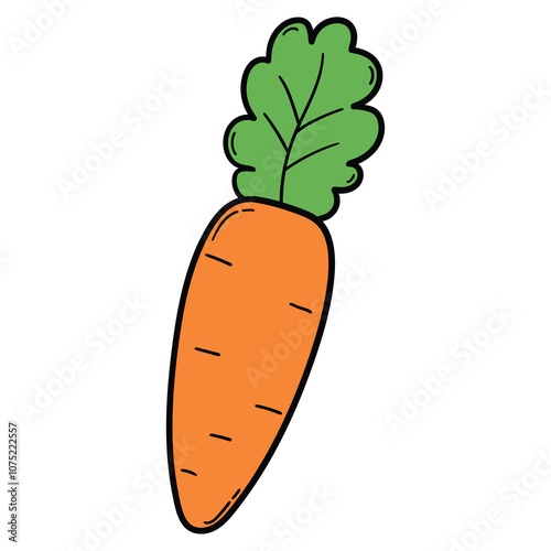 Hand drawn cartoon fresh carrot on white background.