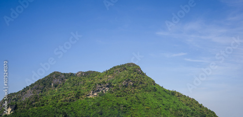 A mountain covered in green trees and a clear blue sky