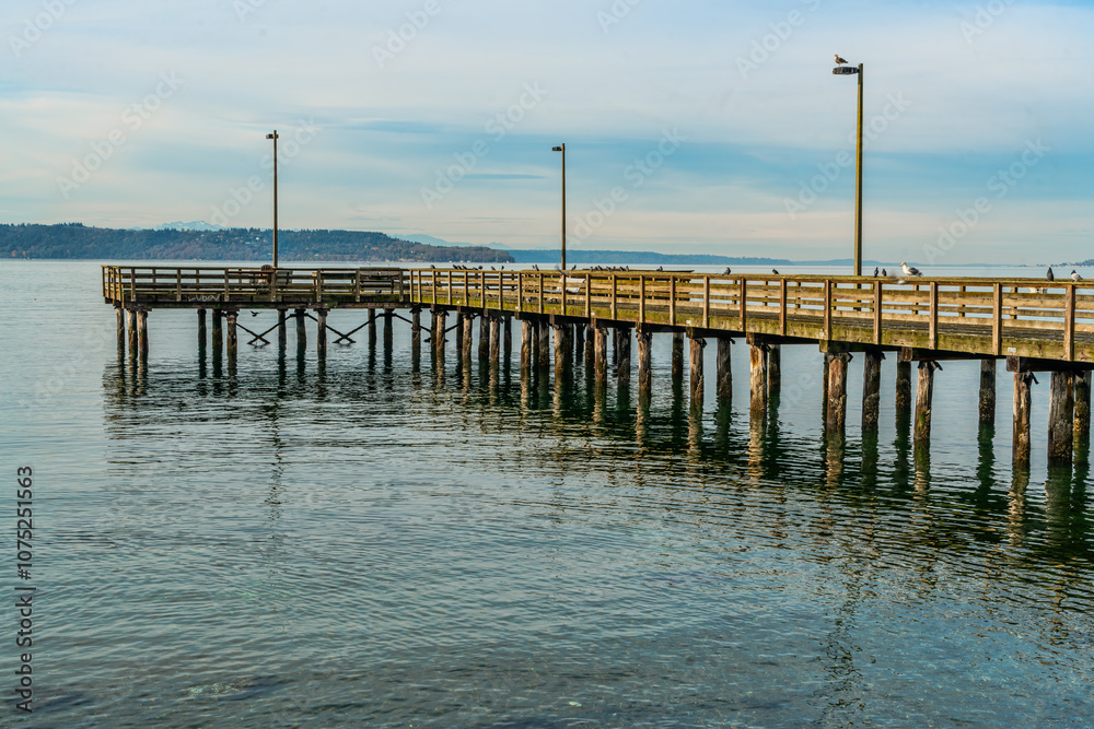 Shoreline And Pier 5 Shoreline And Pier 5