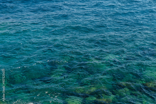 Glassy turquoise waters reveal vibrant underwater life near a rocky coast under a bright sun.