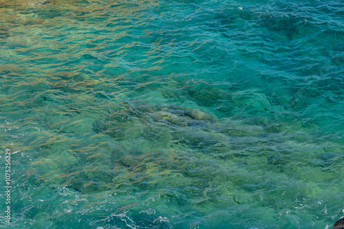 Crystal clear turquoise water reveals vibrant marine life beneath the surface at midday.