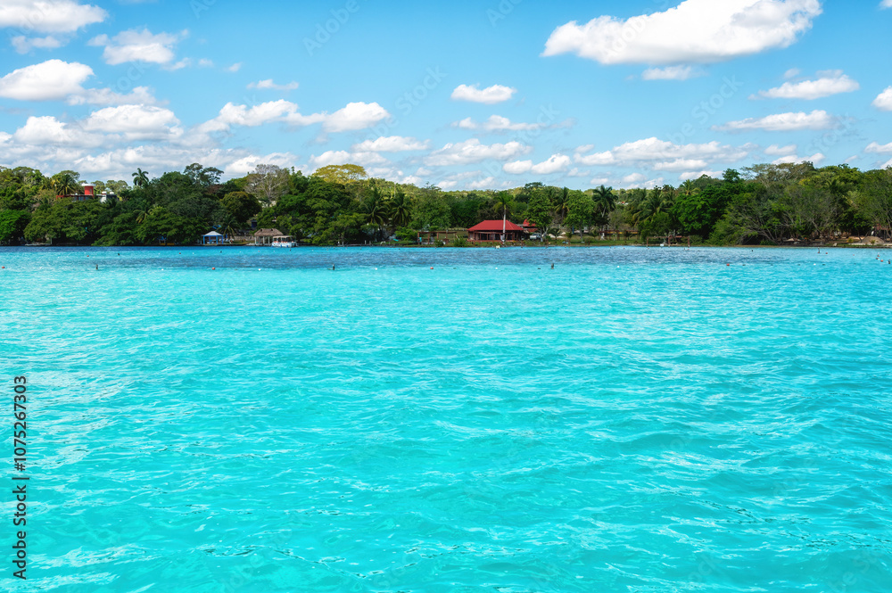 Fototapeta premium Coast of Bacalar Lagoon in Mexico