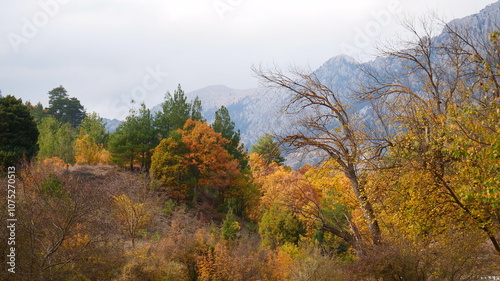 autumn in the mountains