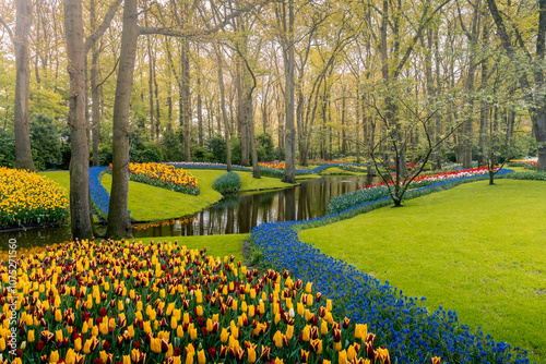 Amazing Keukenhof garden without people photo