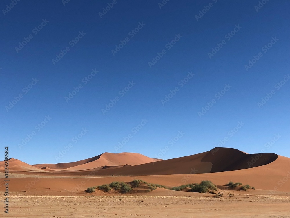 Beautiful Views of the Big Daddy Sand Dune in the Namib Desert in Namibia, Africa Beautiful Views of the Big Daddy Sand Dune in the Namib Desert in Namibia, Africa