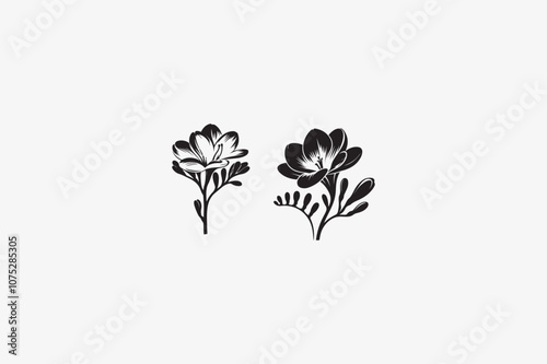 A Freesia vector silhouette image adobe illustrator .eps