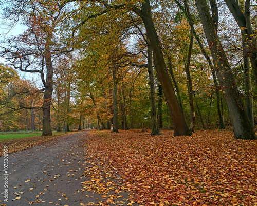 Ein Herbsttag in Tiergarten Hannover photo