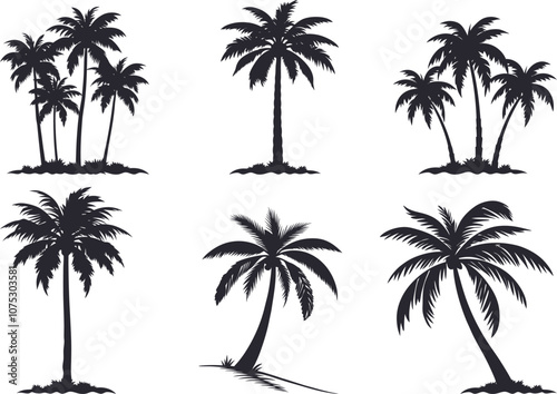 Silhouette Palm Tree Vector 