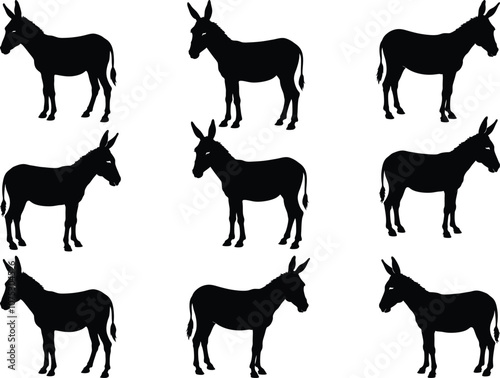 Set of Donkey Silhouette Vector