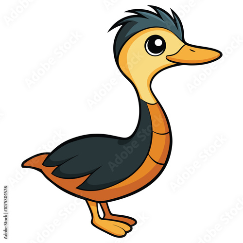 Grebe Bird vector illustration on white background