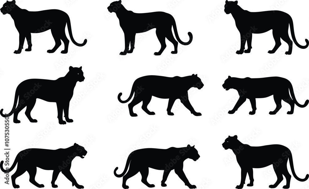 Obraz premium cheetah silhouette Vector
