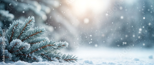 Obraz na płótnie Rami di Pino sotto il Manto Innevato w salonie