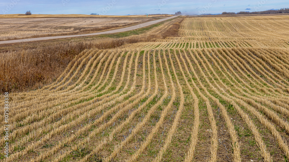 Post Harvest Farm Field with Patterned Stubble in Saskatchewan Post Harvest Farm Field with Patterned Stubble in Saskatchewan