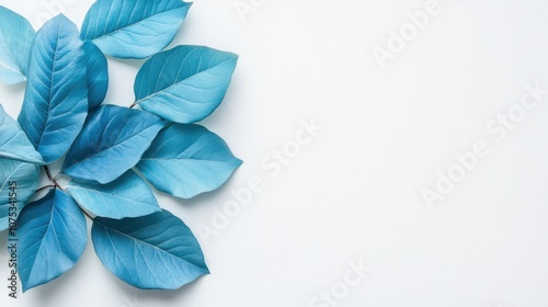 Blue leaves arranged in a fan shape against a white background, creating a minimalist and isolated botanical composition.