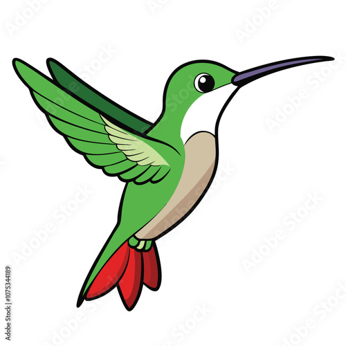 Cute cartoon hummingbird vector illustration white-background