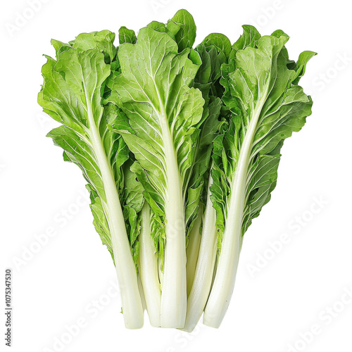 A bunch of green and white leafy vegetables