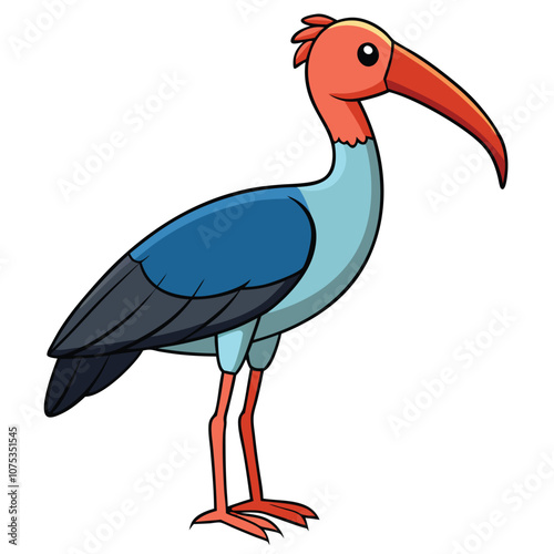 ibis vector illustration white-background photo