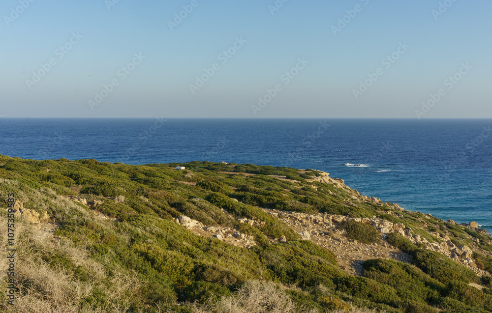 Serene coastal landscape with lush greenery and a shimmering blue sea at sunset in a tranquil setting. Serene coastal landscape with lush greenery and a shimmering blue sea at sunset in a tranquil setting.