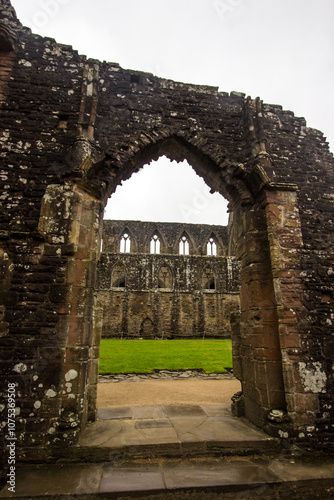 Among the ruins of Tintern abbey, Wales, photo