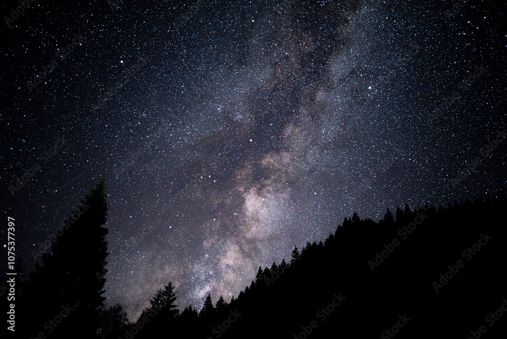Milky Way Galaxy. Starry sky. Night scape with beautiful starry sky