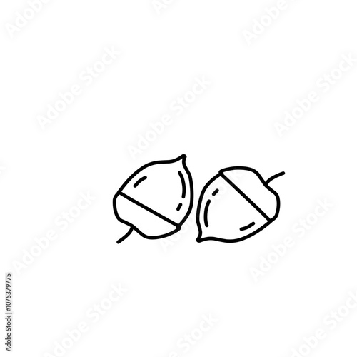 Nut and Seeds Outline Vector 