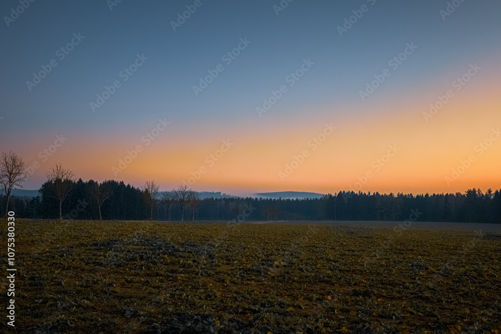 Obraz premium Dusk settles over a serene meadow surrounded by trees with a colorful sky reflecting on the horizon during twilight