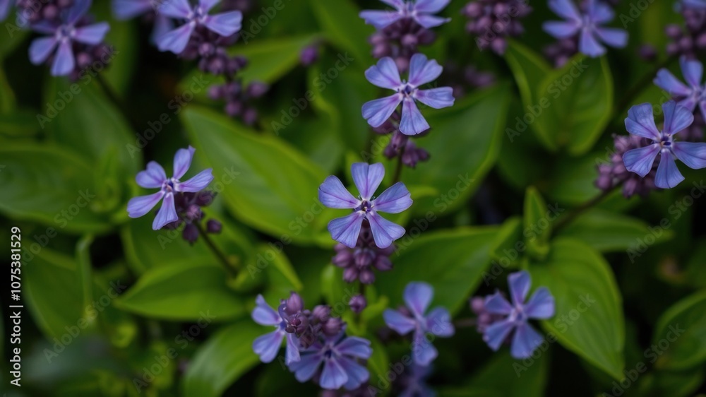 Close-up of individual purple flowers set against a backdrop of vibrant green leaves, leafy greens, nature's colors Close-up of individual purple flowers set against a backdrop of vibrant green leaves, leafy greens, nature's colors