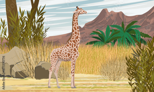 African giraffe stand in the dry grass in the savannah against the background of the mountains. Wild animals of Africa. Realistic vector landscape