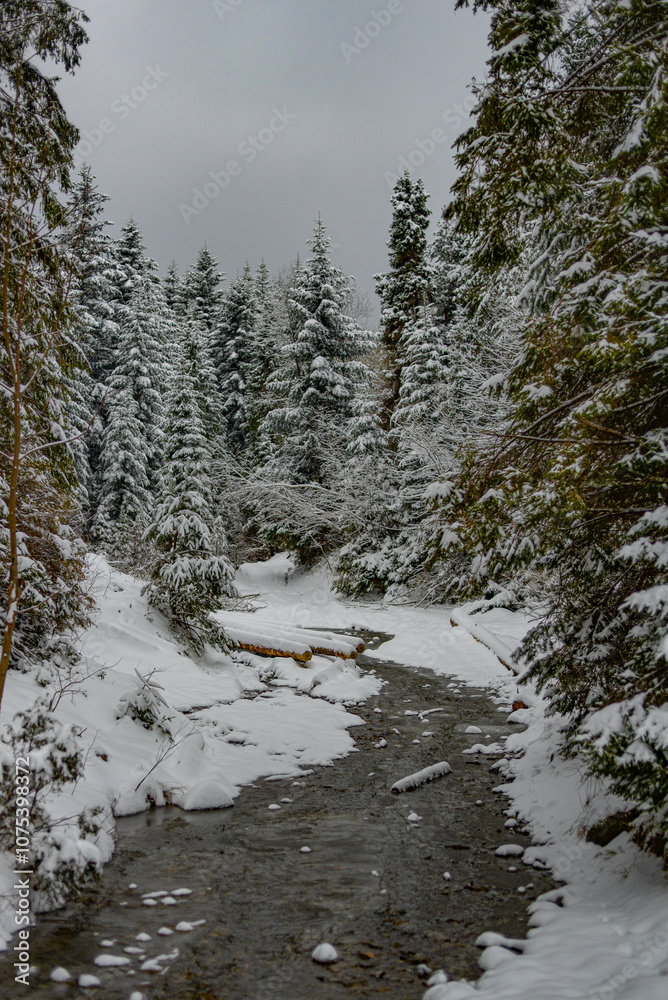 Snowy winter in the Polish mountains Snowy winter in the Polish mountains