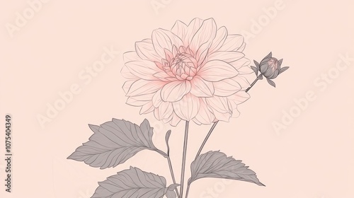 Wallpaper Mural Line art illustration of a blooming pink dahlia flower branch showcasing its delicate features against a simple background Torontodigital.ca