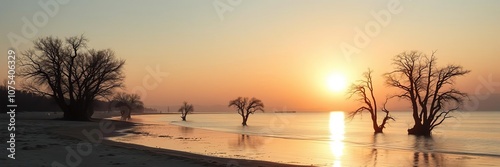 The first light of dawn casts a warm glow over the deserted shore of the bay, where the trees stand like skeletal sentinels, desolate landscape, ocean view