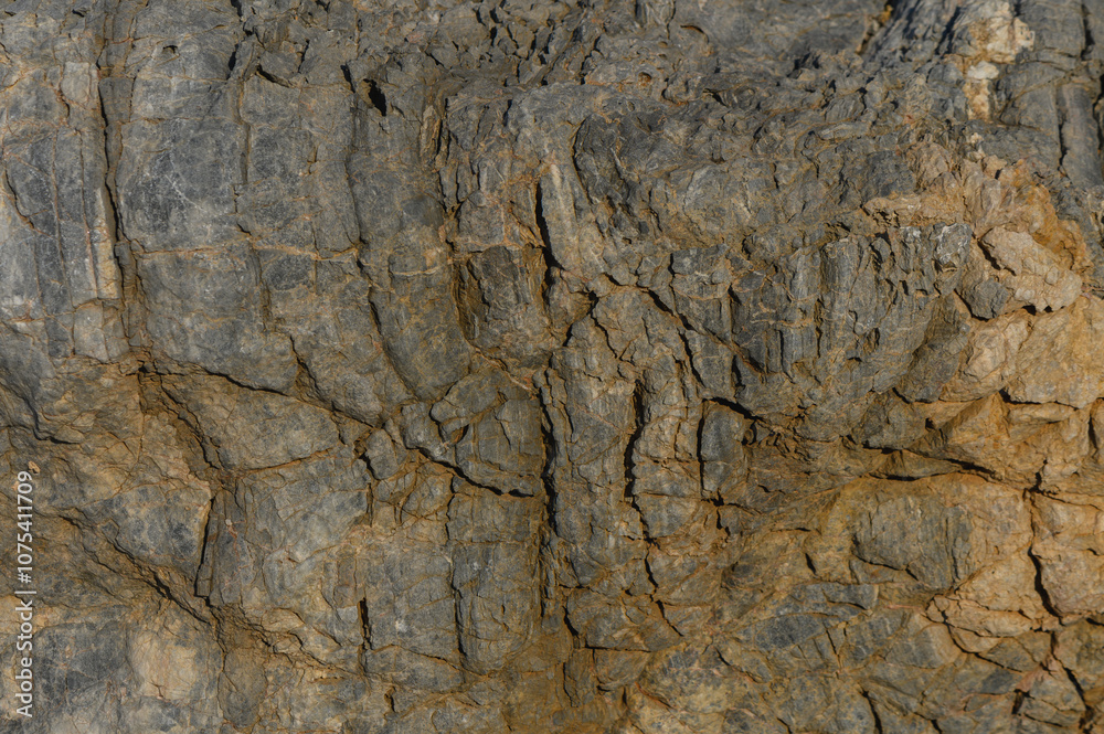Textured rock face showcasing natural geological patterns at midday in a serene outdoor environment.