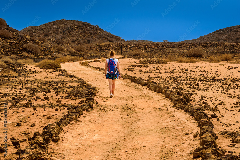 Fototapeta premium A tourist on Lobos Island on a sunny day