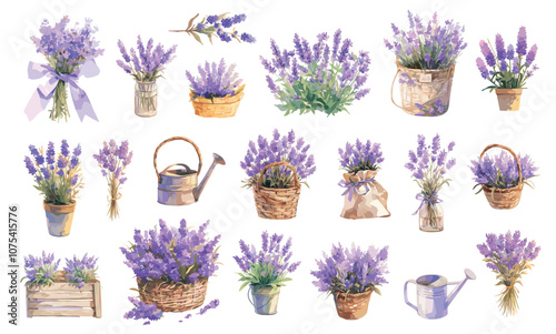 Watercolor lavender. Flower branch watering can bucket basket glass jar sack, floral provence set vector illustration