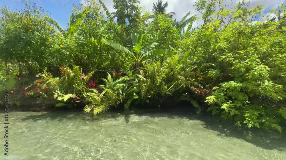 paraíso tropical com águas cristalinas e lindo paisagismo 
