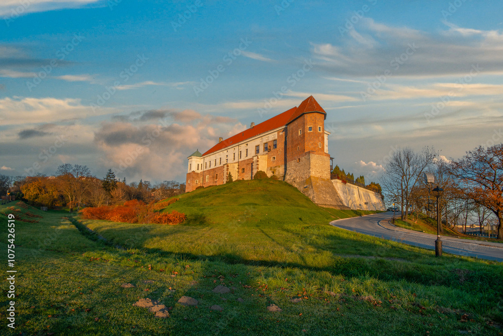 The city of Sandomierz with its churches, town hall and castle shown from above.