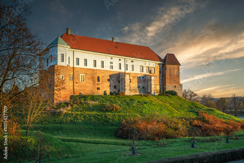 Obraz na płótnie The city of Sandomierz with its churches, town hall and castle shown from above. w salonie