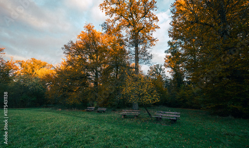 Herbstlicher Sonnenaufgang auf einer Wiese im Rotwildpark bei Stuttgart. Holzbänke und herbstliche orange rote Bäume im Hintergrund photo