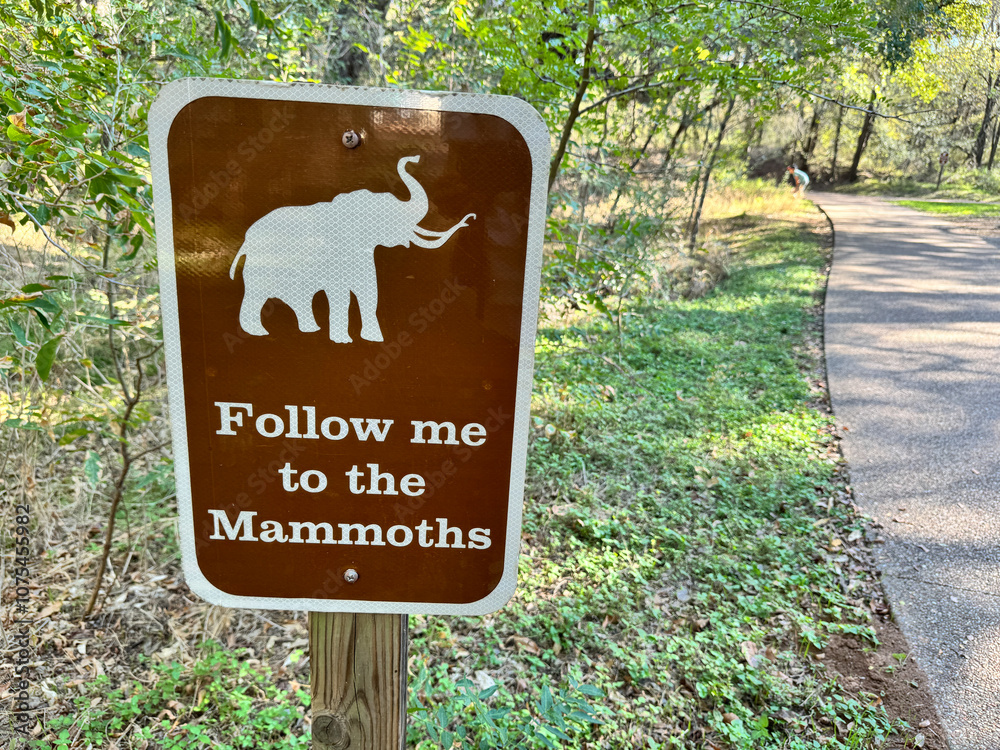 custom made wallpaper toronto digitalSign - follow me to the Mammoths - Waco Mammoth National Monument - Texas